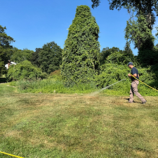 Tick-Control-Application-in-Fairfield-CT 1